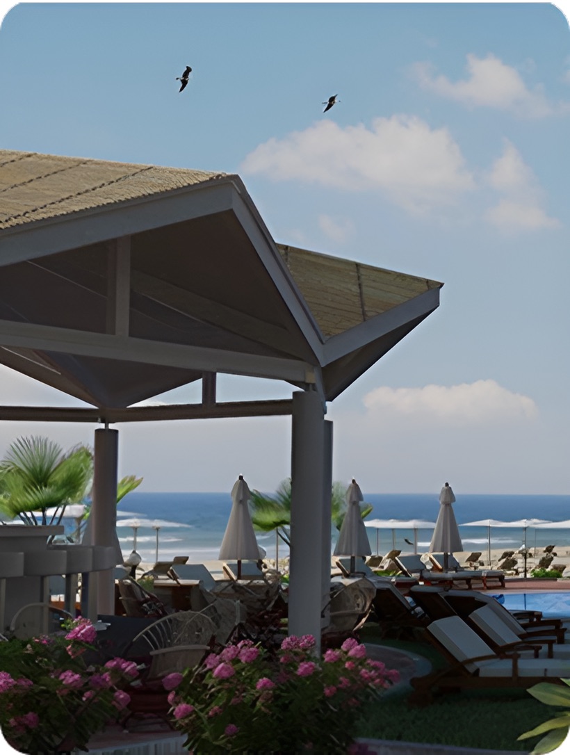Prevea Global Investment Highlight Image